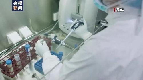 辉瑞研究人员爆料的视频,疫苗研发黑幕与真相曝光 第1张 辉瑞研究人员爆料的视频,疫苗研发黑幕与真相曝光 第1张